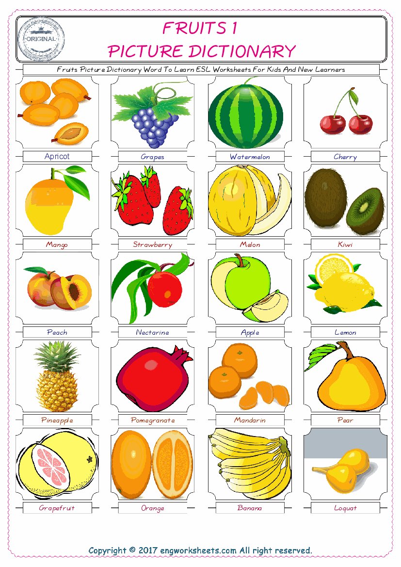  Fruits English Worksheet for Kids ESL Printable Picture Dictionary 